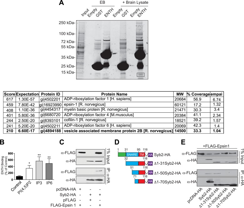 Figure 6—figure supplement 1.