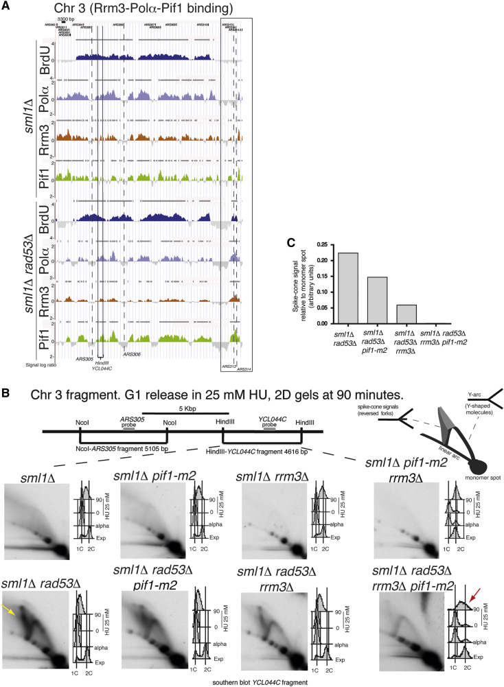 Figure 2