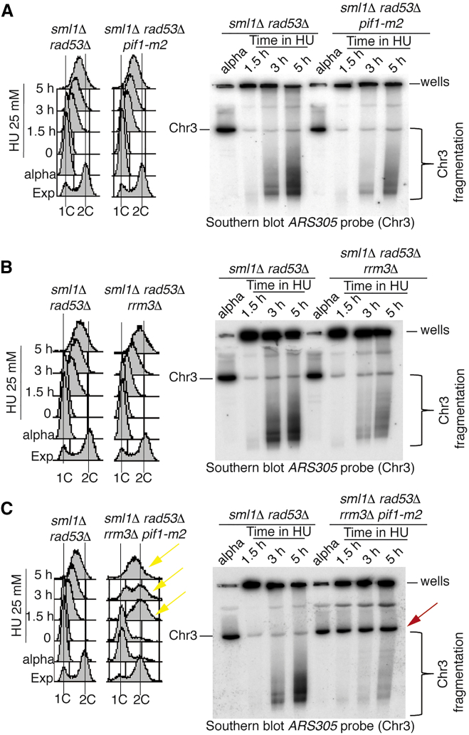 Figure 3