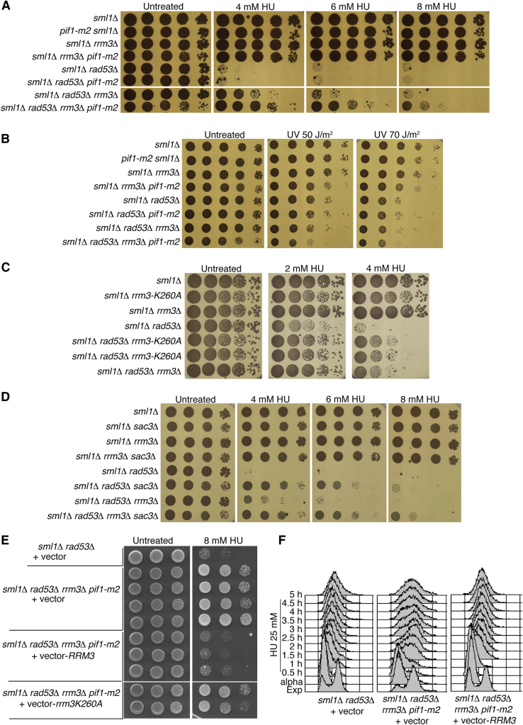 Figure 4