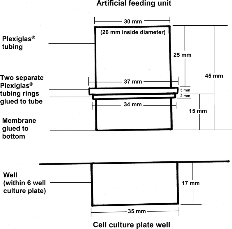 Fig. 1