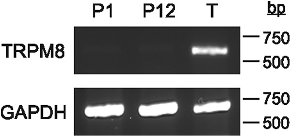 Figure 9.