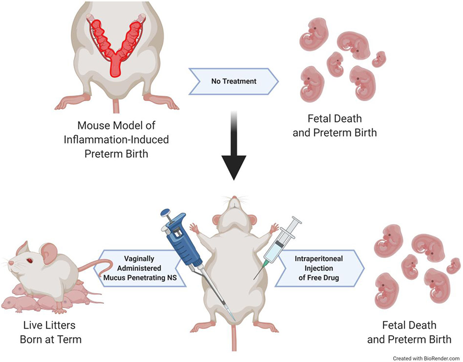 Figure 5: