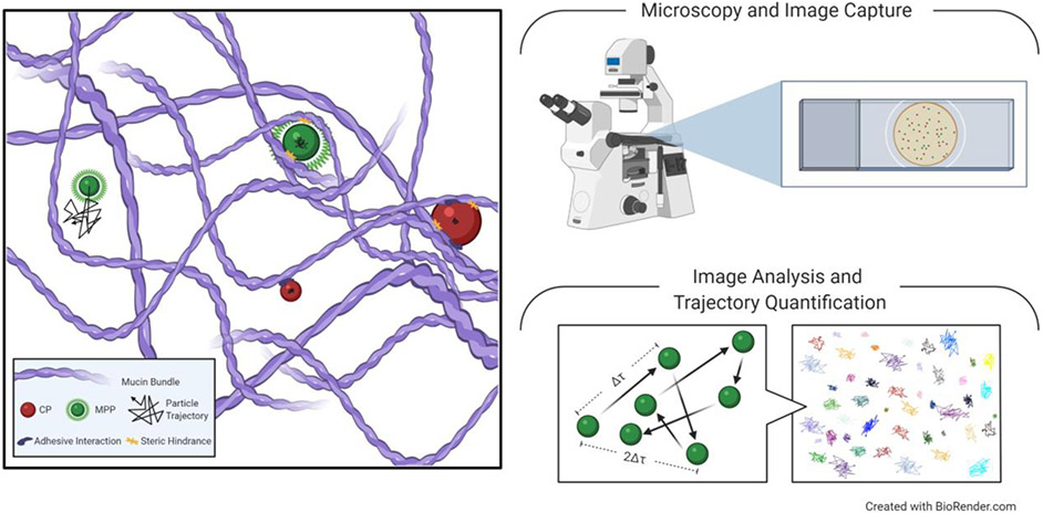 Figure 2: