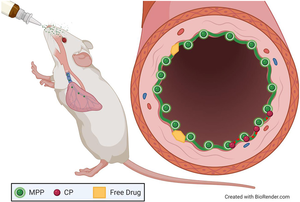 Figure 6: