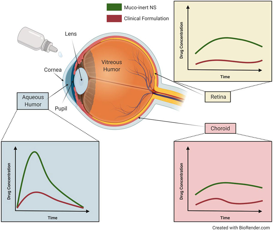 Figure 4: