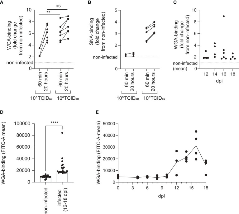 Figure 4