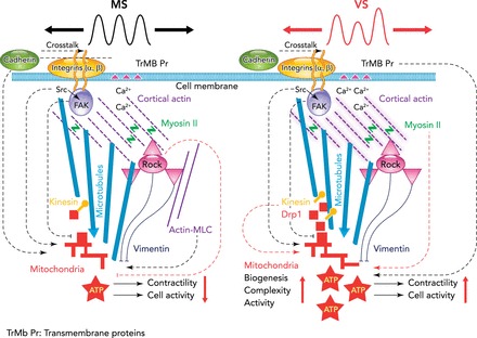 FIGURE 2.