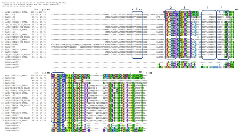 Figure 6