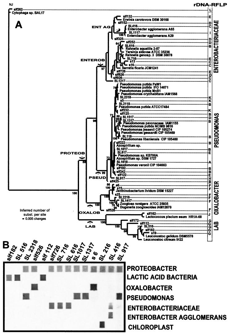 FIG.3.