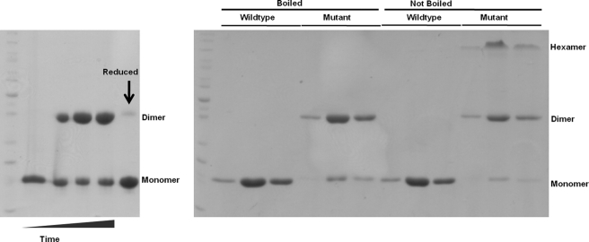 FIGURE 9.