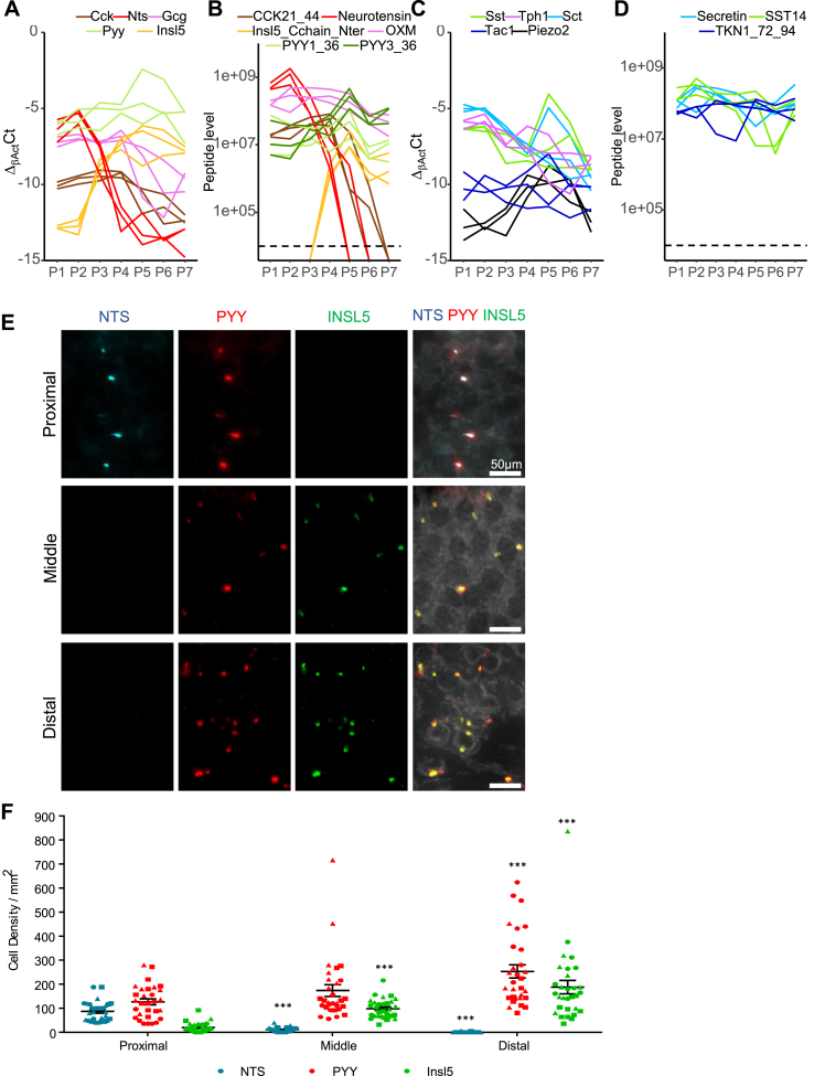 Figure 3