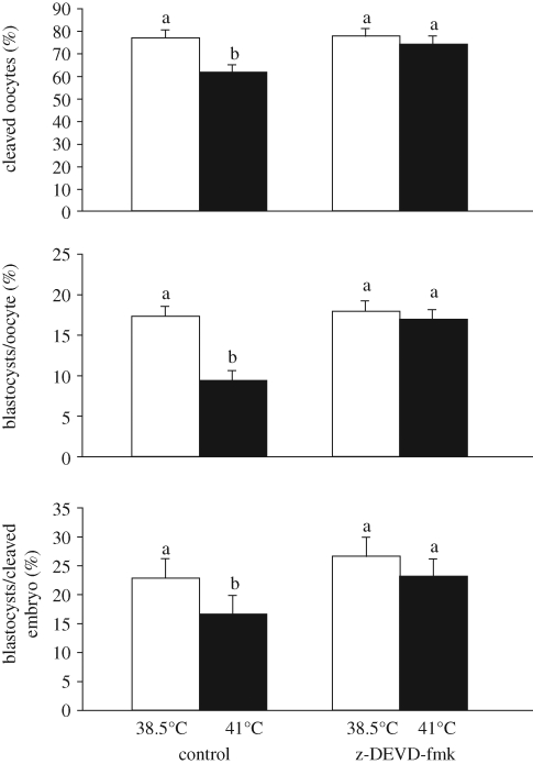 Figure 5.