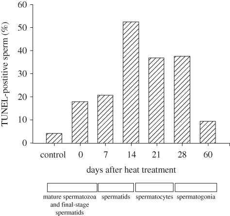 Figure 2.