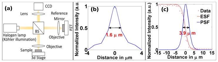 Fig. 1