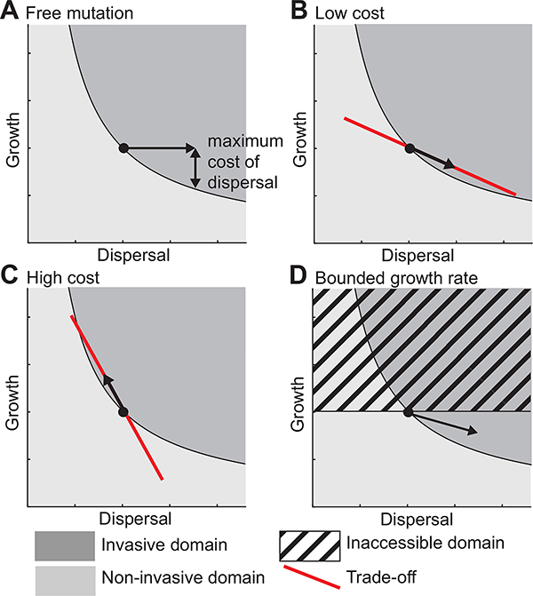 Figure 4: