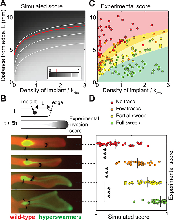 Figure 3: