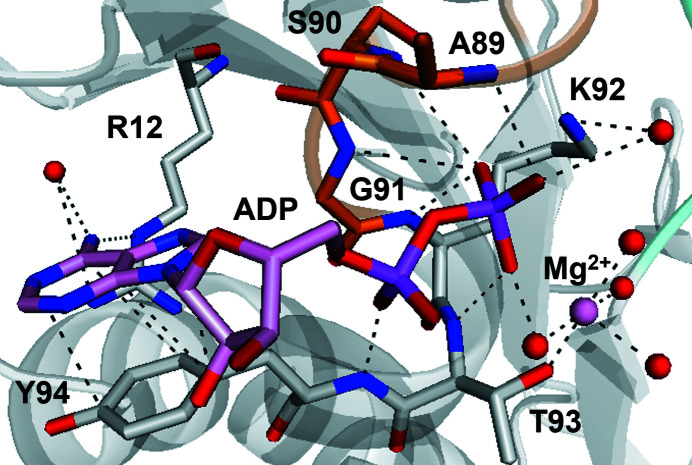 Figure 5