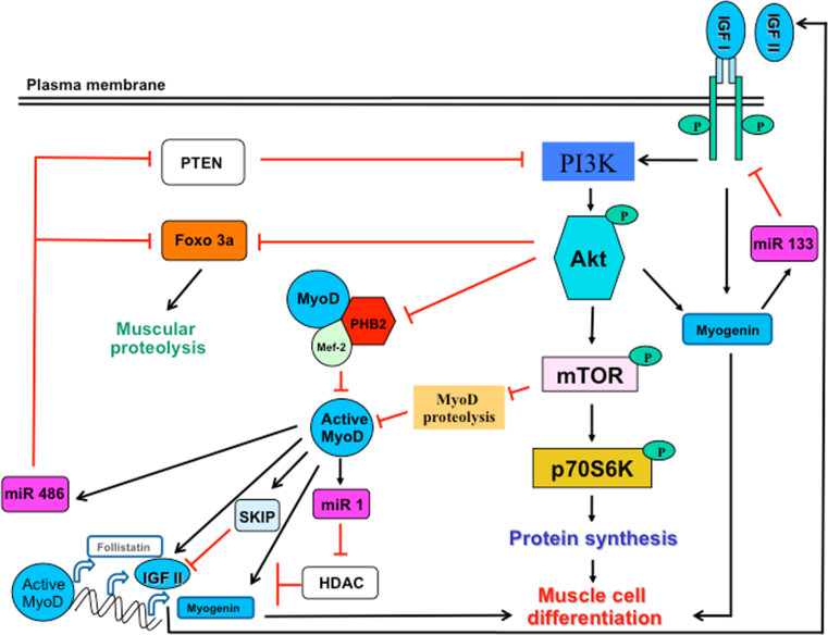 Fig. 3