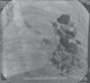 Fig. 2c)
