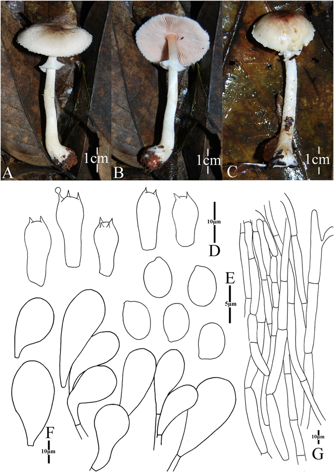 Figure 13