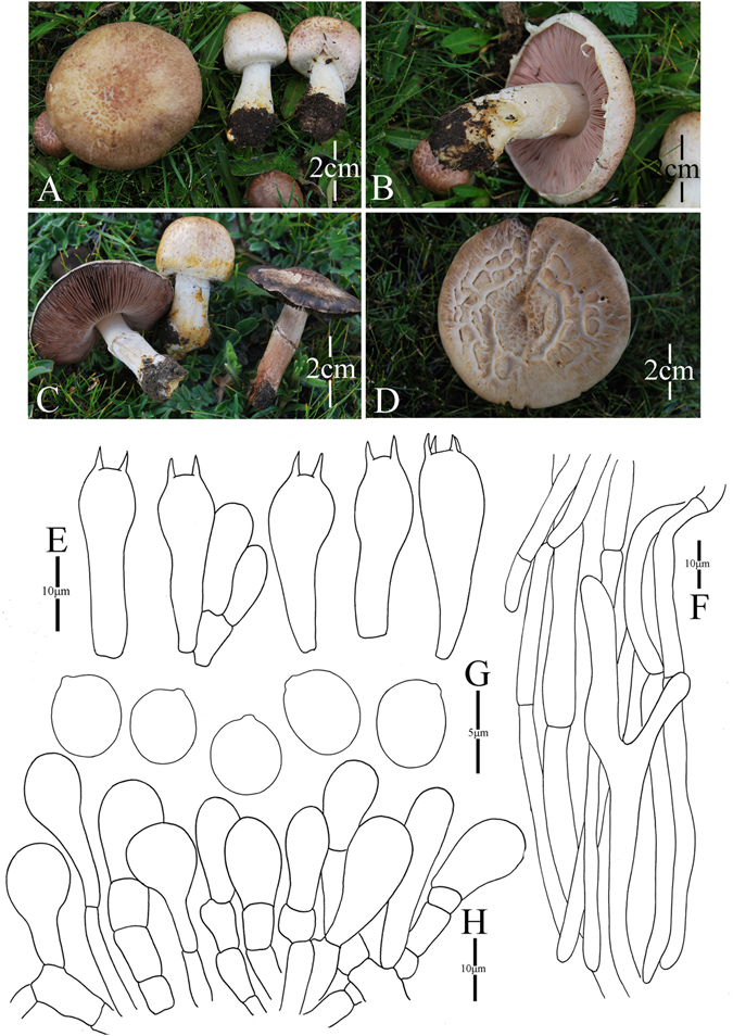 Figure 12