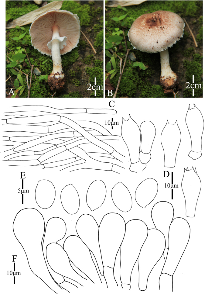 Figure 20