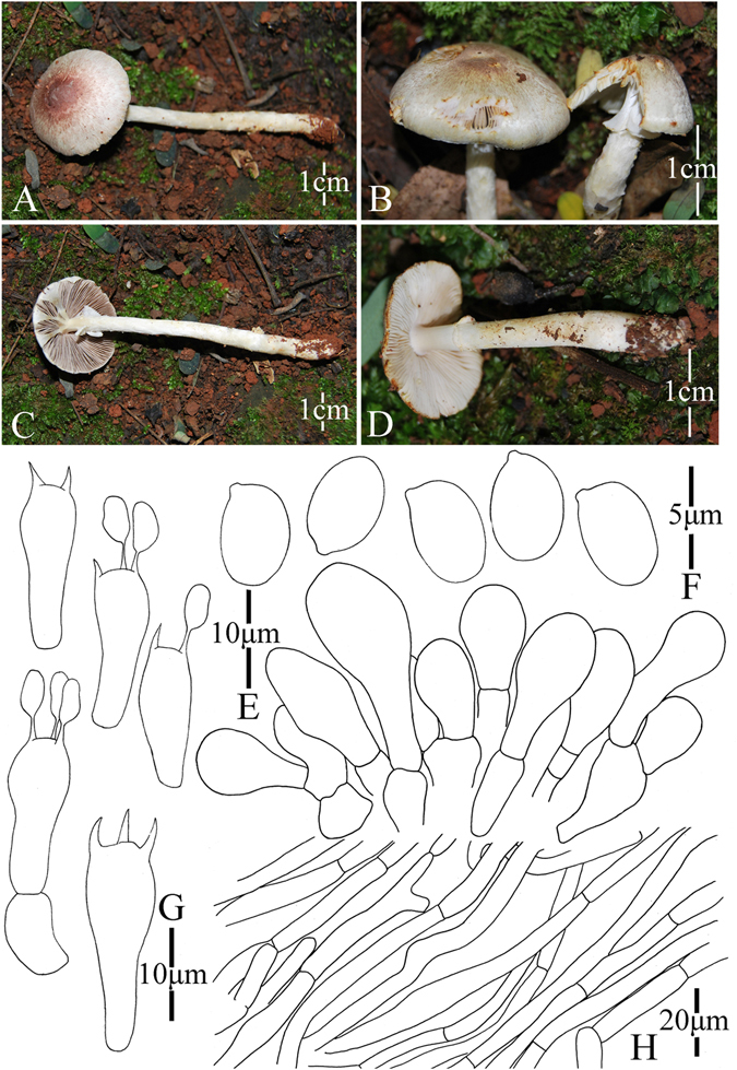 Figure 14