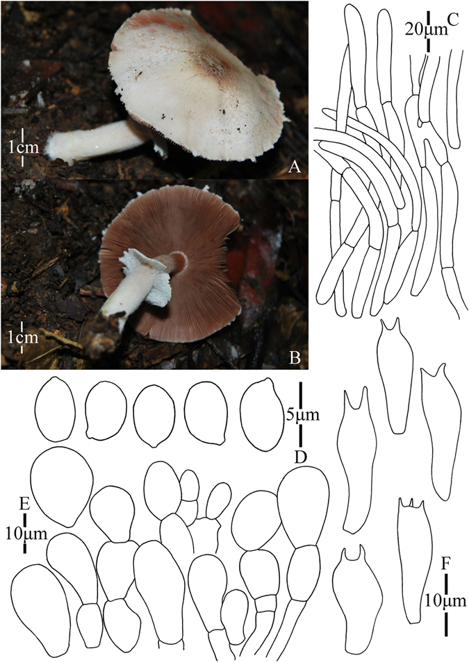 Figure 9