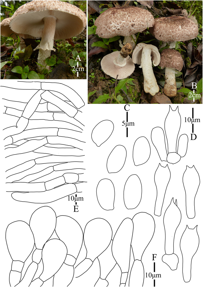 Figure 22