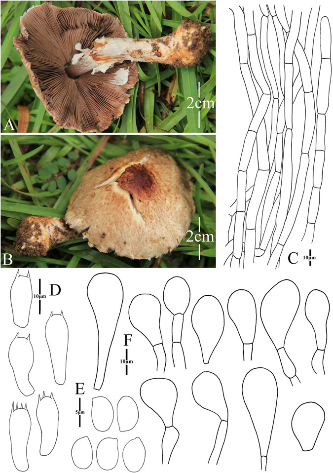 Figure 18