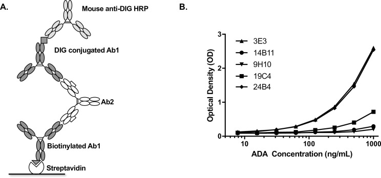 Fig 7