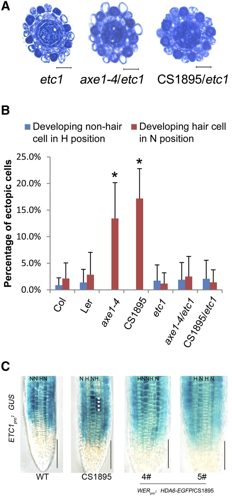 Figure 7.