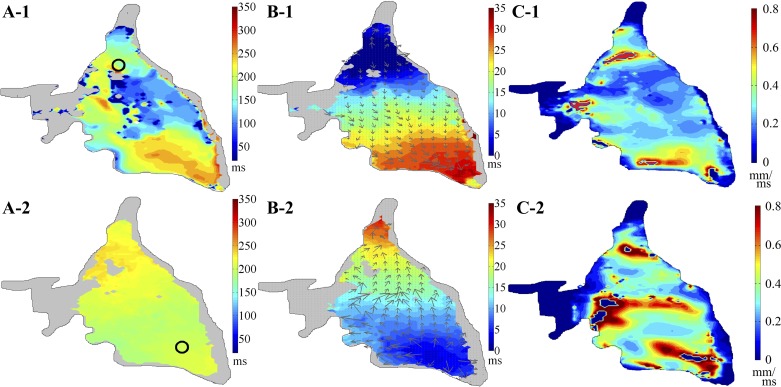 Fig. 7.