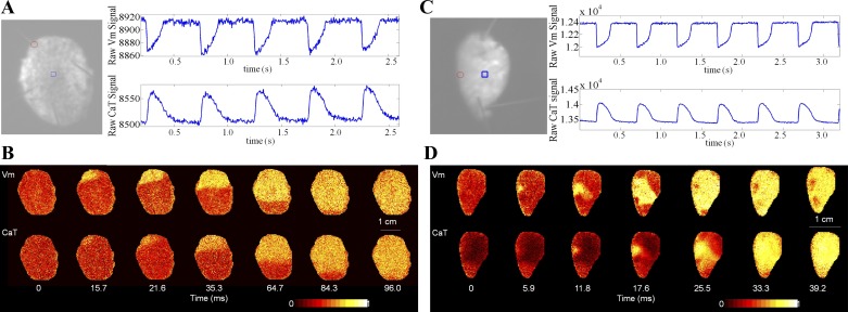 Fig. 2.