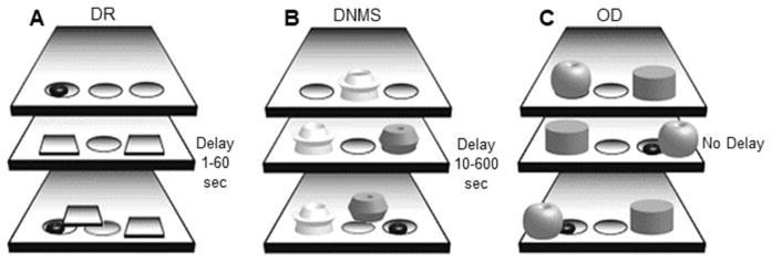 Fig. 1