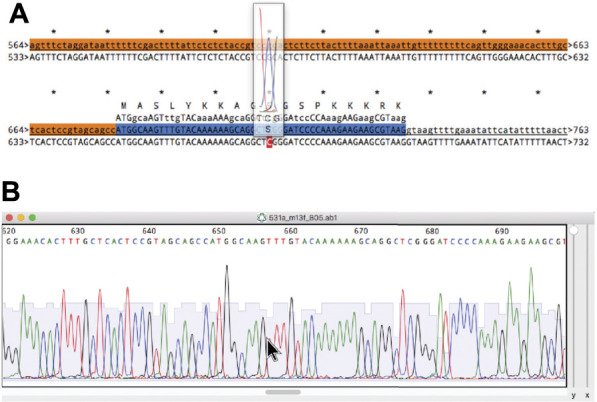 FIGURE 10