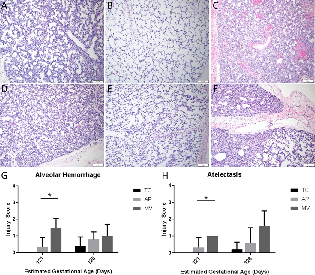 Fig 3: