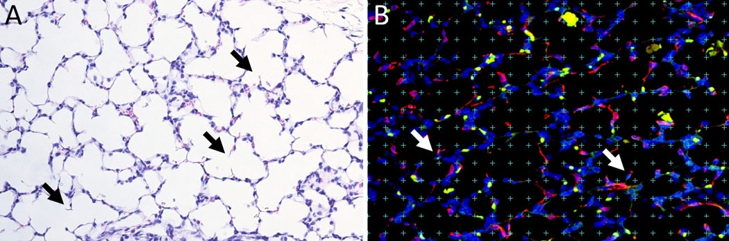 Fig 2: