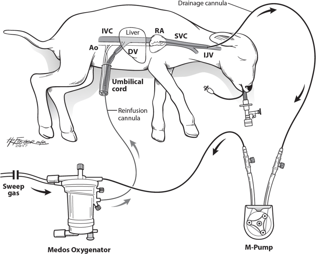 Fig 1: