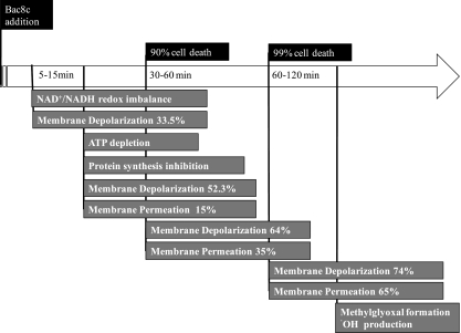 FIG. 7.