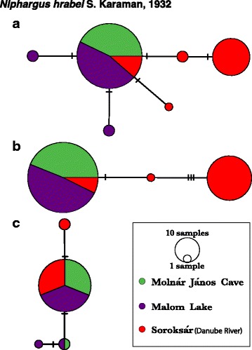 Fig. 5