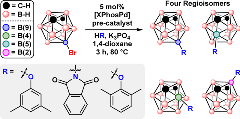 Fig. 15.