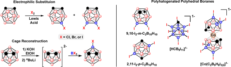 Fig 3.