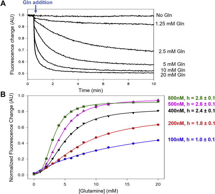 Figure 1