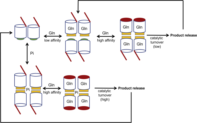 Figure 7