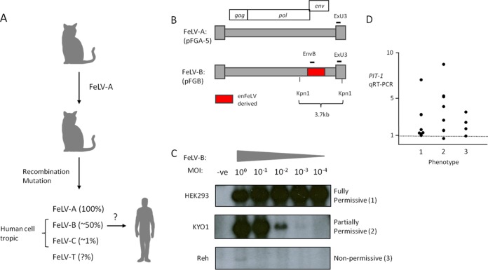 FIG 1