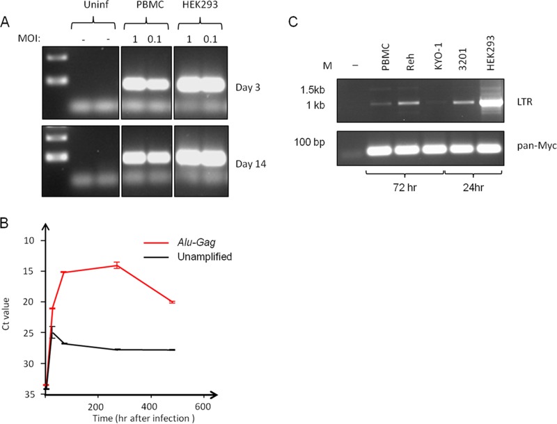 FIG 4