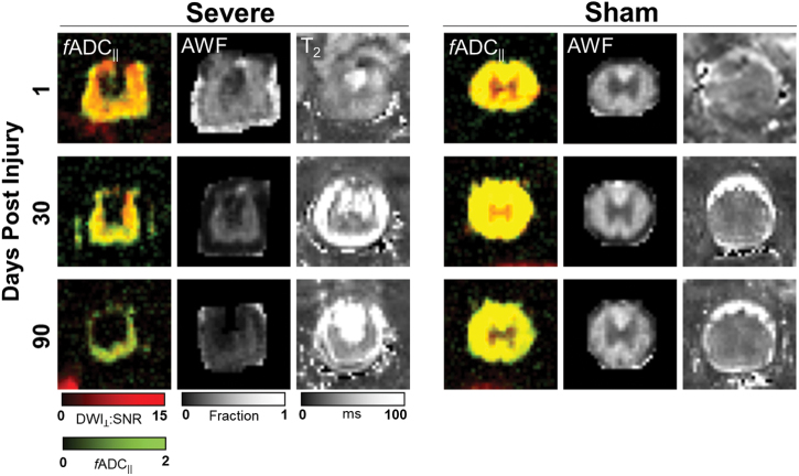 FIG. 1.