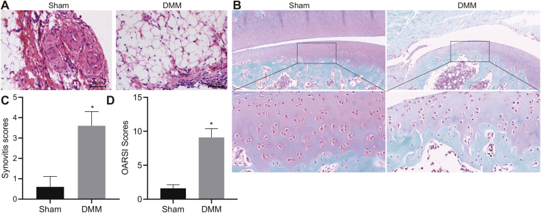 Fig. 6